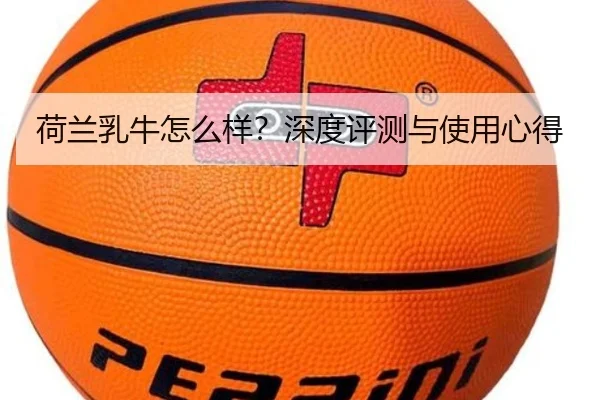 荷兰乳牛怎么样？深度评测与使用心得 - HuaTiHui