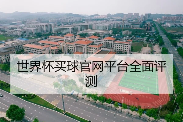 世界杯买球官网平台全面评测