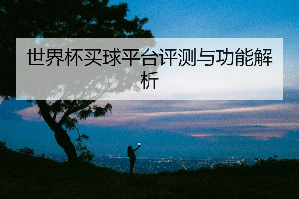 世界杯买球平台评测与功能解析