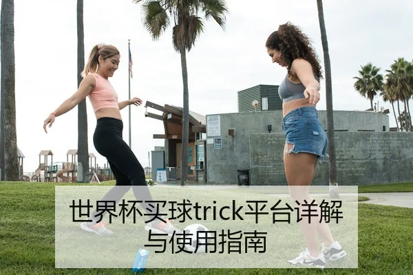 世界杯买球trick平台详解与使用指南