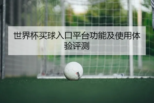 世界杯买球入口平台功能及使用体验评测