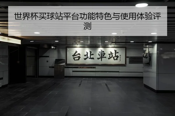世界杯买球站平台功能特色与使用体验评测