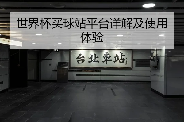 世界杯买球站平台详解及使用体验