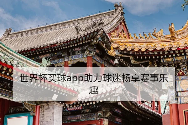 世界杯买球app助力球迷畅享赛事乐趣