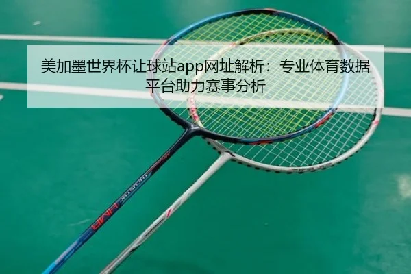 美加墨世界杯让球站app网址解析：专业体育数据平台助力赛事分析